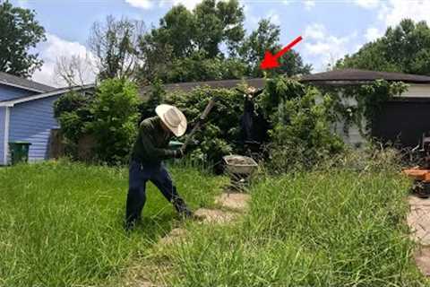 Extremely OVERGROWN yard HASN’T been cut in YEARS ! (satisfying house reveal)