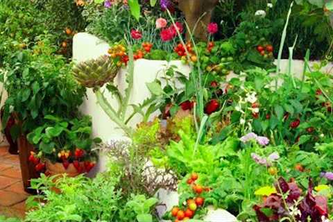 Grow More in the Same Space: Intensive Vegetable Gardening!🍅