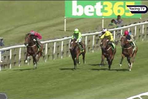 €460,000 purchase SHAREHOLDER Royal Ascot bound after Two Year Old Trophy win