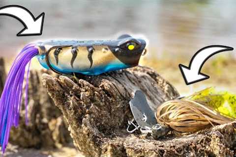 Fish THESE Lures For Summer BANK FISHING!