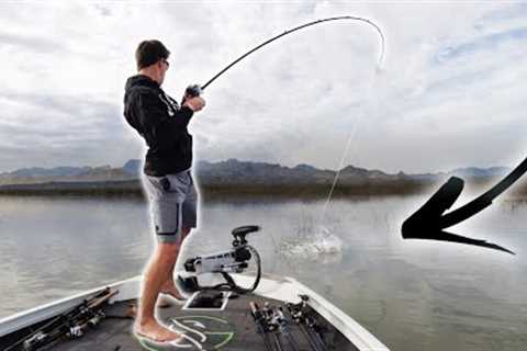 Fishing a HIDDEN Micro Lake In The DESERT -- (Big Send Part 1)