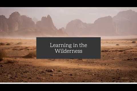 Learning in the Wilderness by Tim Kwon