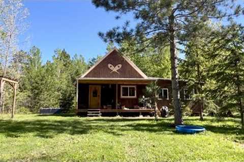 Simple Off Grid Cabin Build: Facia, Window Trim, Transplanting Trees