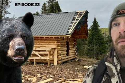 Log Cabin Build on Off-Grid Homestead |EP23| BEARS