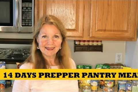 14 Days of Prepper Pantry Meal Ideas - Making Meals From Food Storage - Walmart Shortages