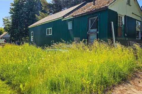 Man Doing No Mow May Spreads INVASIVE WEEDS Into His Neighbors YARDS
