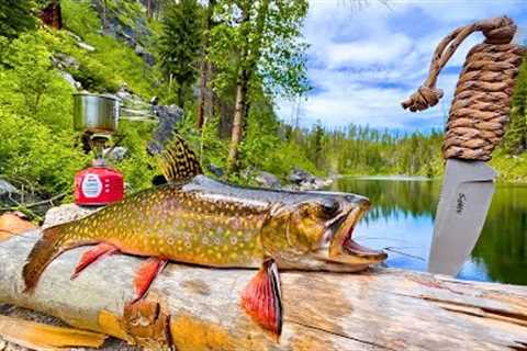 WILD Trout Catch &amp; Cook in Remote Mountains!!! (SOLO Challenge)