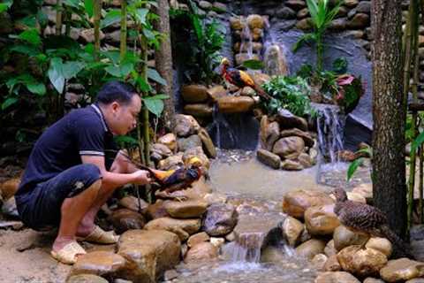 Duong Build a waterfall to create a natural scene in the aviary for birds