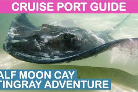 Half Moon Cay (Bahamas) Cruise Port Guide: Stingray Adventure