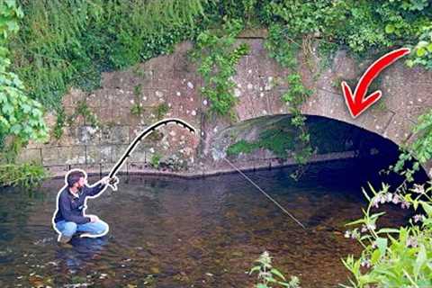 Fishing a TINY Private Stream... I couldn't BELIEVE what happened! 😯