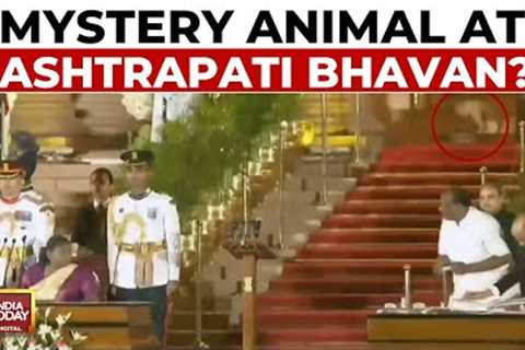 Leopard At Rashtrapati Bhavan? Video Of Mystery Animal During Oath Goes Viral