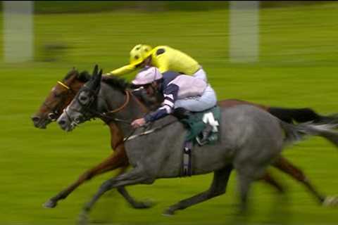 The late show! Lava Stream gets up on the line for Listed glory at Goodwood