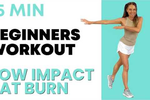 Beginner Workout - Weight Loss Exercises at Home