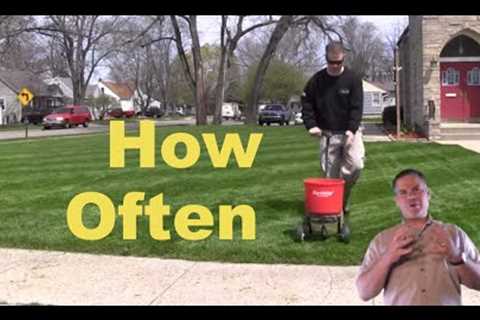 How Often Should I Fertilize The Lawn - Quick Tips