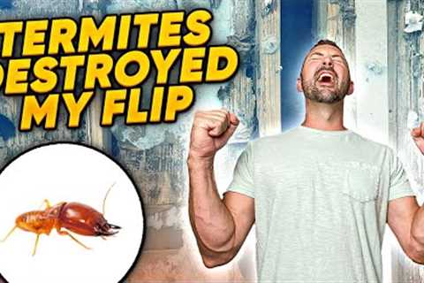 3 Nightmare Scenarios For Your House Flip... I Have Them All