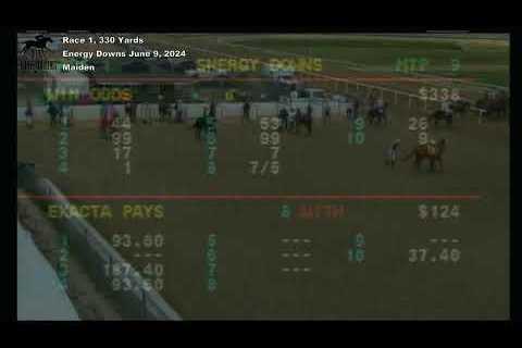 307 Horse Racing, Energy Downs, June 9 2024, Race 1 (330 Yards)