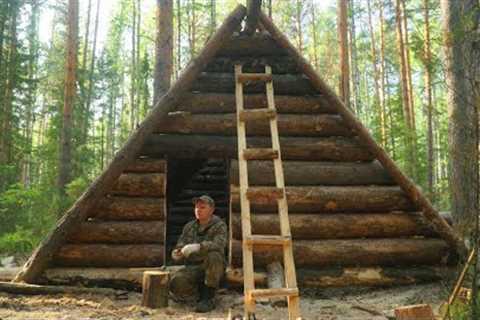 A MAN BUILDS A LARGE LOG CABIN ALONE. HOUSE IN THE WILD FOREST.