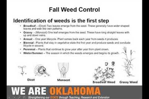 Fall Weed Control and Lawn Care Presentation