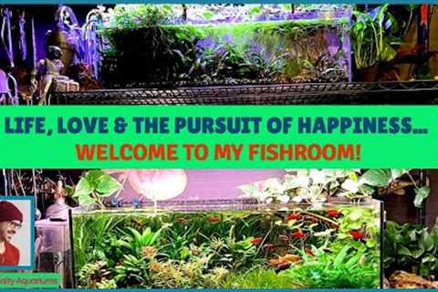 Fish Room Tour (all my tanks, all my heart!)