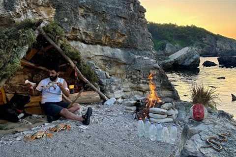 3 DAYS solo survival (NO FOOD, NO WATER, NO SHELTER) Catch and Cook, CRAB, SNAKE. Bushcraft Camping