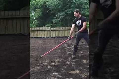 How To Grow Grass #shorts