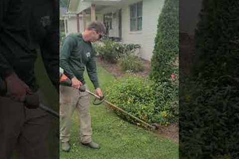 Edging a Borderless Flower Bed with String Trimmer