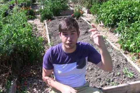 5 Gardening Myths Worth Forgetting Forever