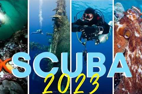 Top 5 Scuba Destinations of 2023