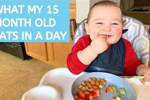 WHAT MY ONE-YEAR-OLD TODDLER EATS IN A DAY | 15 MONTHS OLD | MEAL IDEAS | FOOD DIARY