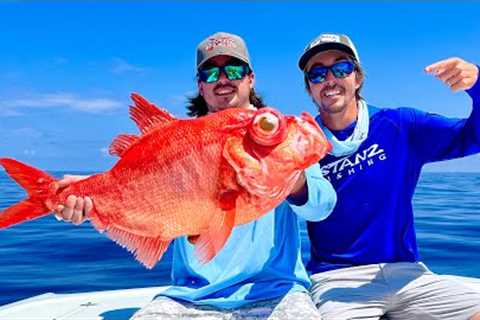 RARE Deep Sea Fish! 42' Freeman Fishing in the Florida Keys!