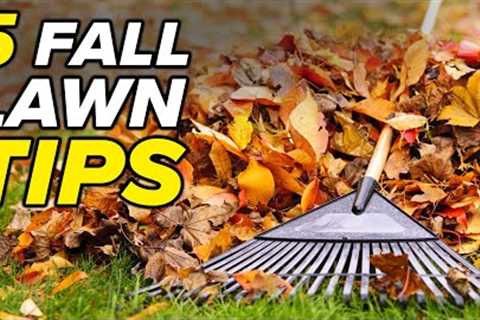 Fall Lawn Care Steps ( YOU MUST DO !!! )