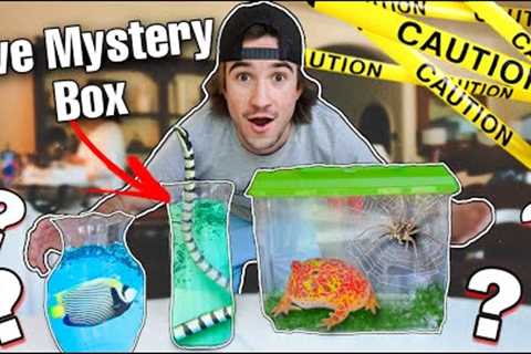DON'T BUY *LIVE ANIMAL* MYSTERY BOX OFF THE DEEP WEB...