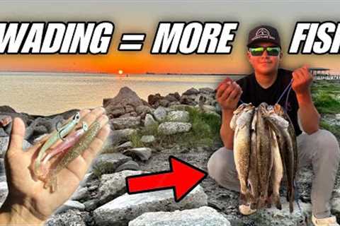 Wade Fishing for UNLIMITED Speckled Trout!! Non Stop Action