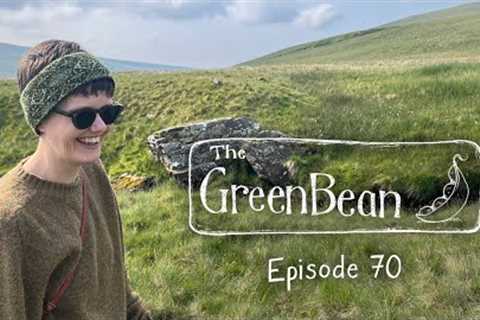 The Green Bean Podcast Episode 70: Successful Knitting