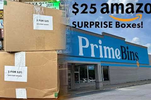 WORTH IT?  2 for $25 Amazon Bins Mystery Box Unboxing | Miss Hazel Fanatic Gets REALLY Excited