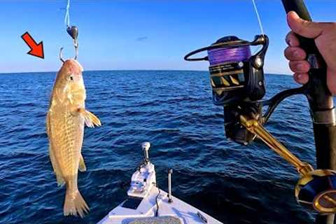 Fishing a LIVE! CROAKER 100' DEEP in the GULF for my DINNER! [Catch, Clean, Cook]