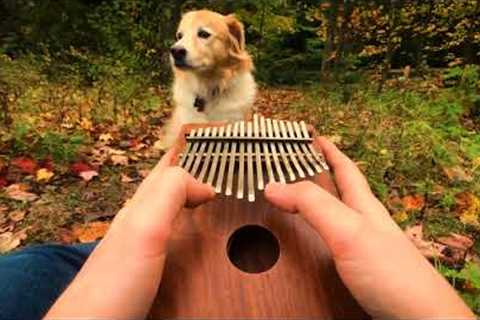 Can't Help Falling In Love on a Kalimba