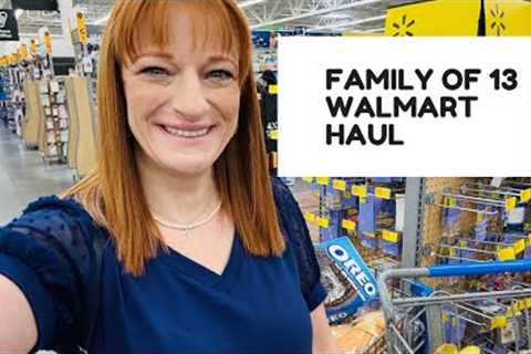 FAMILY OF 13 WALMART HAUL