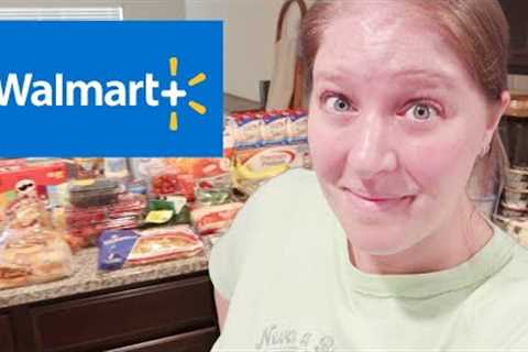 Walmart Grocery Haul with Prices