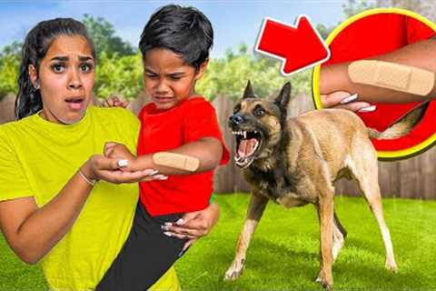 OUR NEW DOG BIT OUR SON ZAKYIUS…
