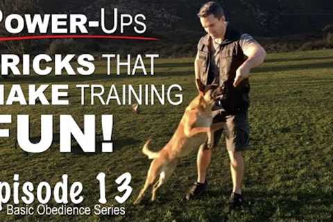 Dog Training Power-ups. Tricks That Make Training FUN! Episode 13