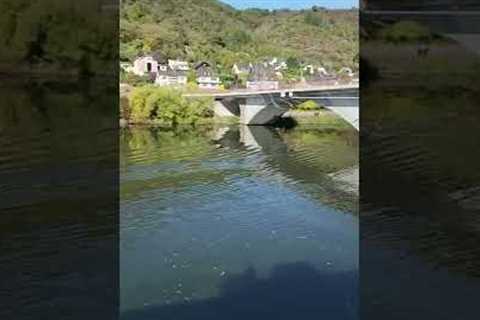 EUROPE RIVER CRUISES: What's the best part of a river cruise?