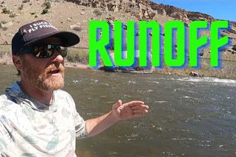 Catching TROUT in FAST High Water