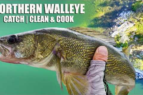 Fishing Swimbaits for Northern Walleye | Catch Clean &amp; Cook