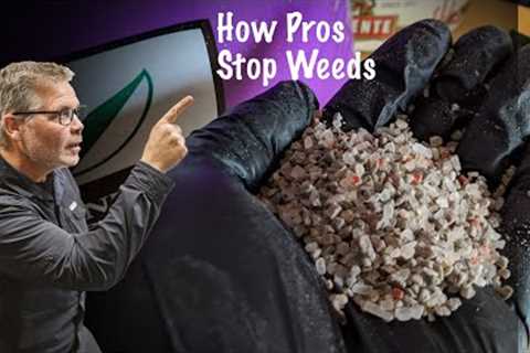 How To Get Rid of Weeds In Your Lawn This Fall // Lawn Weed Prevention