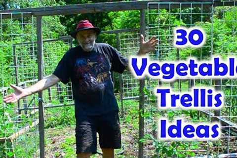 30 Unique Vegetable Trellis Ideas - Produce More Food
