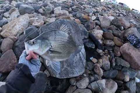 Combat Fishing Devils Lake, North Dakota 6-8-2024