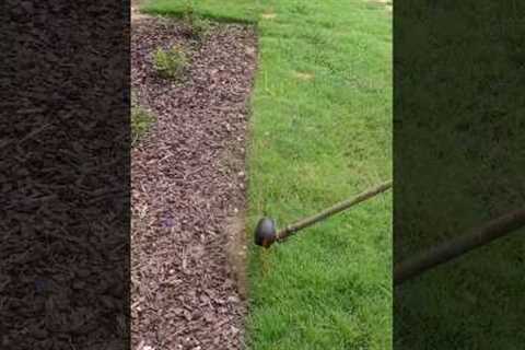 Which Lawn Edging is Better?
