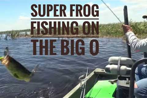 Super frog fishing on the Big O