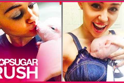 14 Celebrities With Highly Unusual Pets